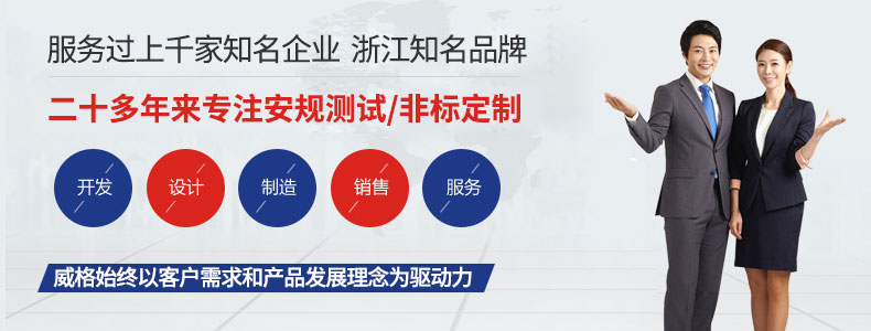 威格新能源電動汽車驅(qū)動電機定子測試臺 性能耐久測試臺架 型式試驗系統(tǒng)插圖16